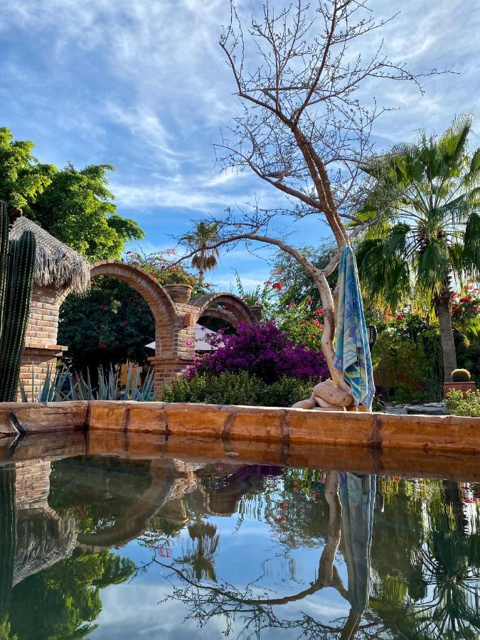 לינה וארוחת בוקר El Centenario Casa Xochitl מראה חיצוני תמונה