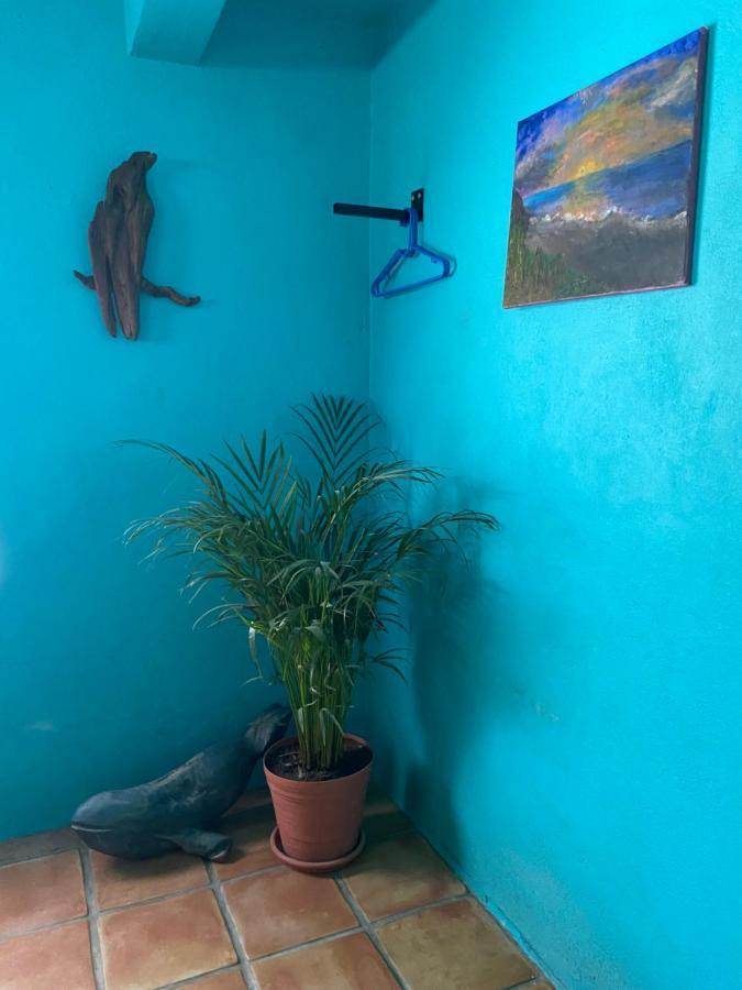 לינה וארוחת בוקר El Centenario Casa Xochitl מראה חיצוני תמונה