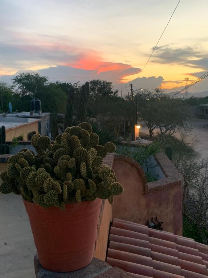 לינה וארוחת בוקר El Centenario Casa Xochitl מראה חיצוני תמונה